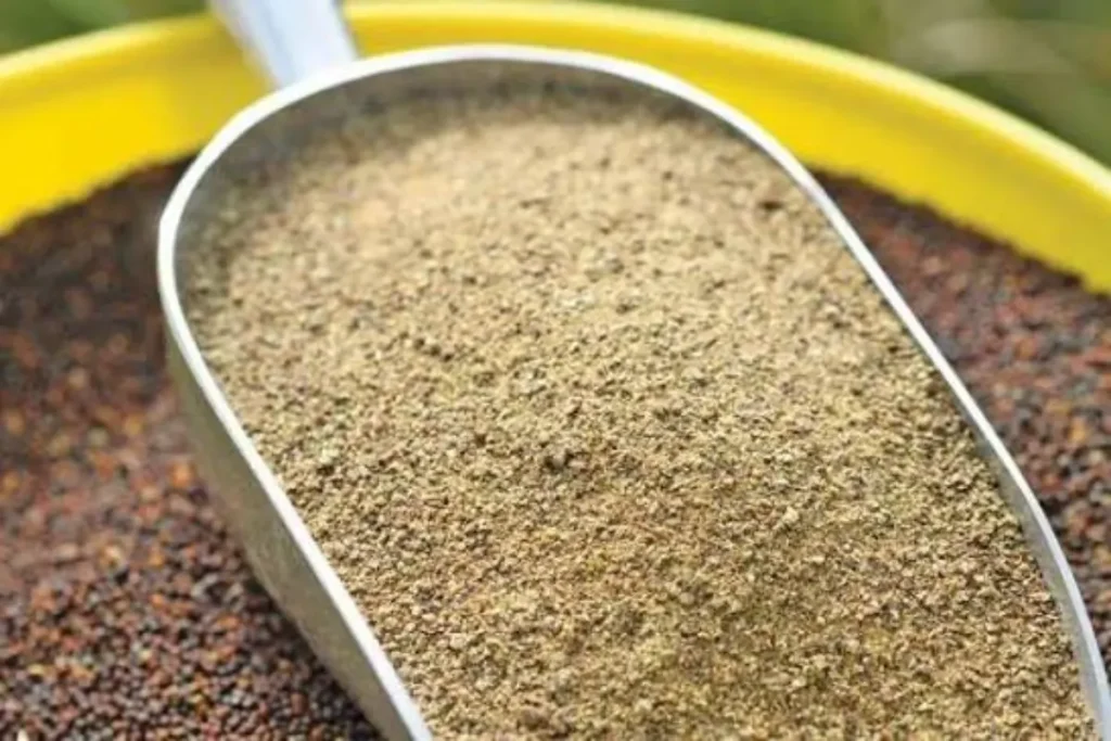 Canola Meal