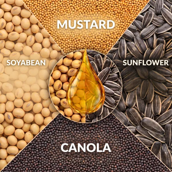 Comprehensive Oil Processing with Boundless Reach